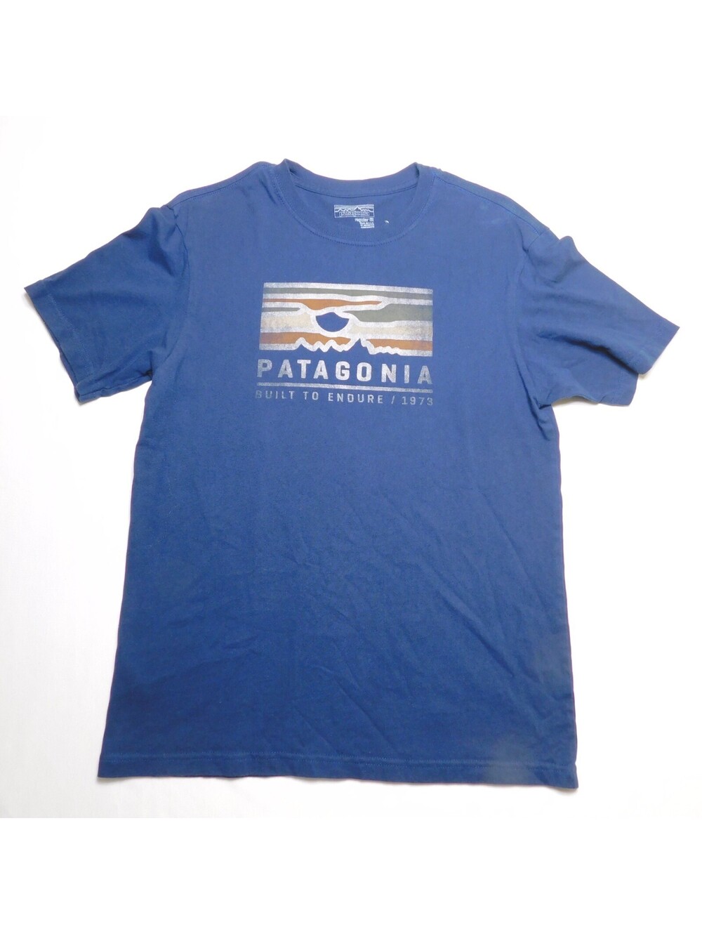 Patagonia Men's Small Blue Built To Endure 1973 Organic Cotton Graphic T-Shirt